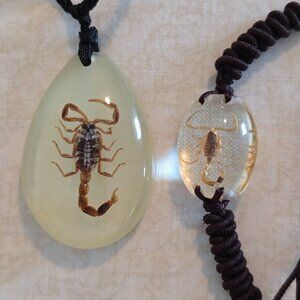 Scorpion Necklace and Bracelet (Real) Both Adjustable, Brown/Amber